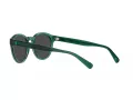 Polo PH 4192 608487 51 Occhiali da Sole