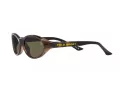 Polo PH 4197U 5003/3 56 Occhiali da Sole