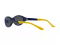 Polo PH 4197U 588655 56 Occhiali da Sole