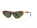Polo PH 4199U 607871 54 Occhiali da Sole