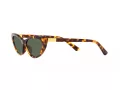 Polo PH 4199U 607871 54 Occhiali da Sole