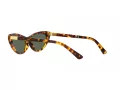 Polo PH 4199U 607871 54 Occhiali da Sole