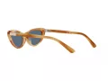 Polo PH 4199U 607980 54 Occhiali da Sole