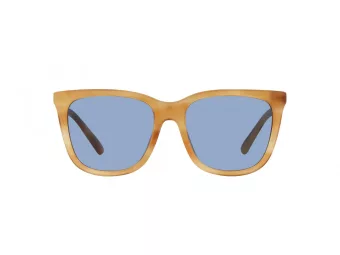 Polo PH 4201U 607972 55 Occhiali da Sole