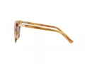 Polo PH 4201U 607972 55 Occhiali da Sole
