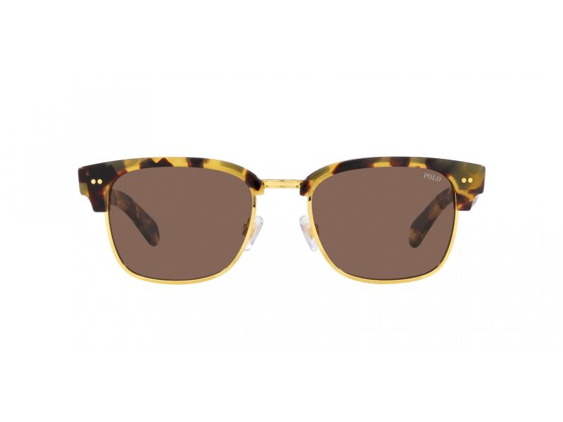 Polo PH 4202 608773 55 Occhiali da Sole
