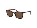 Polaroid PLD 4209/S/X 086/SP 56 Occhiali da Sole