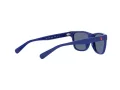 Polo PP 9504U 5235/80 49 Occhiali da Sole