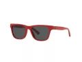 Polo PP 9504U 5257/87 49 Occhiali da Sole