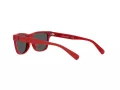 Polo PP 9504U 5257/87 49 Occhiali da Sole