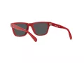 Polo PP 9504U 5257/87 49 Occhiali da Sole
