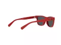Polo PP 9504U 5257/87 49 Occhiali da Sole