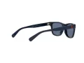 Polo PP 9504U 5620/80 49 Occhiali da Sole