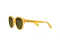 Polo PP 9505U 500573 48 Occhiali da Sole