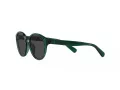 Polo PP 9505U 608487 48 Occhiali da Sole