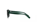 Polo PP 9505U 608487 48 Occhiali da Sole