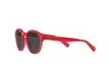 Polo PP 9505U 609787 48 Occhiali da Sole