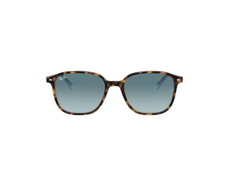 Ray-Ban Leonard RB 2193 1316/3M 53 Occhiali da Sole