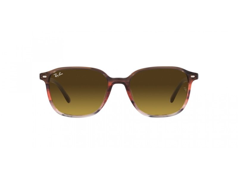 Ray-Ban Leonard RB 2193 138085 51 Occhiali da Sole