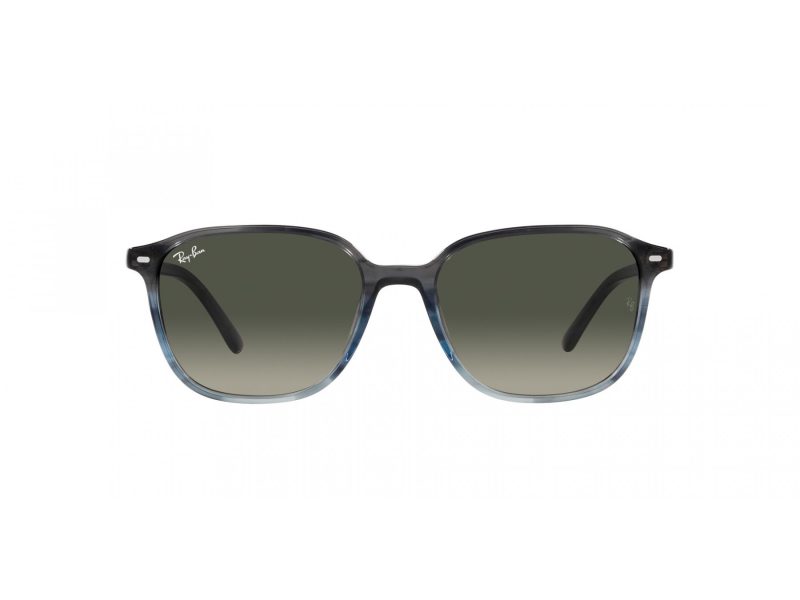 Ray-Ban Leonard RB 2193 138171 53 Occhiali da Sole