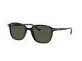Ray-Ban Leonard RB 2193 901/31 53 Occhiali da Sole