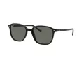 Ray-Ban Leonard RB 2193 901/58 53 Occhiali da Sole