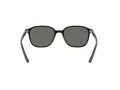 Ray-Ban Leonard RB 2193 901/58 53 Occhiali da Sole