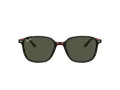 Ray-Ban Leonard RB 2193 902/31 53 Occhiali da Sole