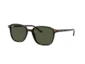 Ray-Ban Leonard RB 2193 902/31 53 Occhiali da Sole