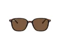 Ray-Ban Leonard RB 2193 902/57 53 Occhiali da Sole