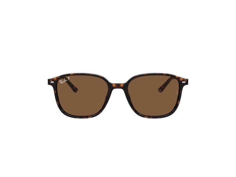 Ray-Ban Leonard RB 2193 902/57 53 Occhiali da Sole