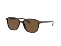 Ray-Ban Leonard RB 2193 902/57 53 Occhiali da Sole