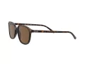 Ray-Ban Leonard RB 2193 902/57 53 Occhiali da Sole