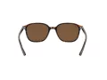 Ray-Ban Leonard RB 2193 902/57 53 Occhiali da Sole