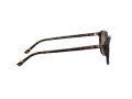 Ray-Ban Leonard RB 2193 902/57 53 Occhiali da Sole
