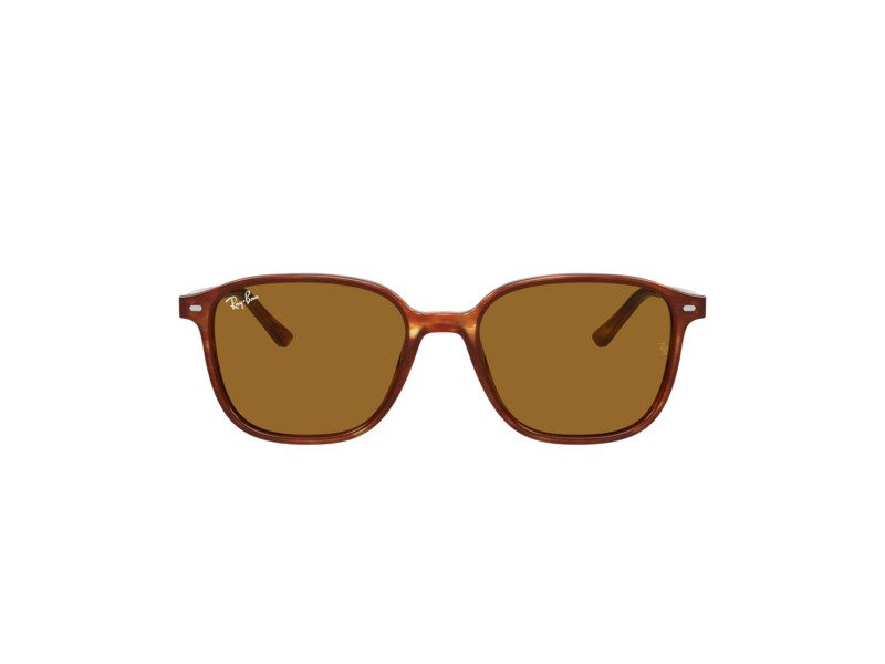 Ray-Ban Leonard RB 2193 954/33 51 Occhiali da Sole