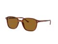 Ray-Ban Leonard RB 2193 954/33 51 Occhiali da Sole