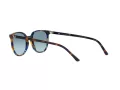 Ray-Ban Elliot RB 2197 13563M 52 Occhiali da Sole