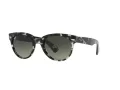 Ray-Ban Orion RB 2199 1333/71 52 Occhiali da Sole