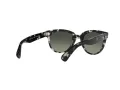 Ray-Ban Orion RB 2199 1333/71 52 Occhiali da Sole