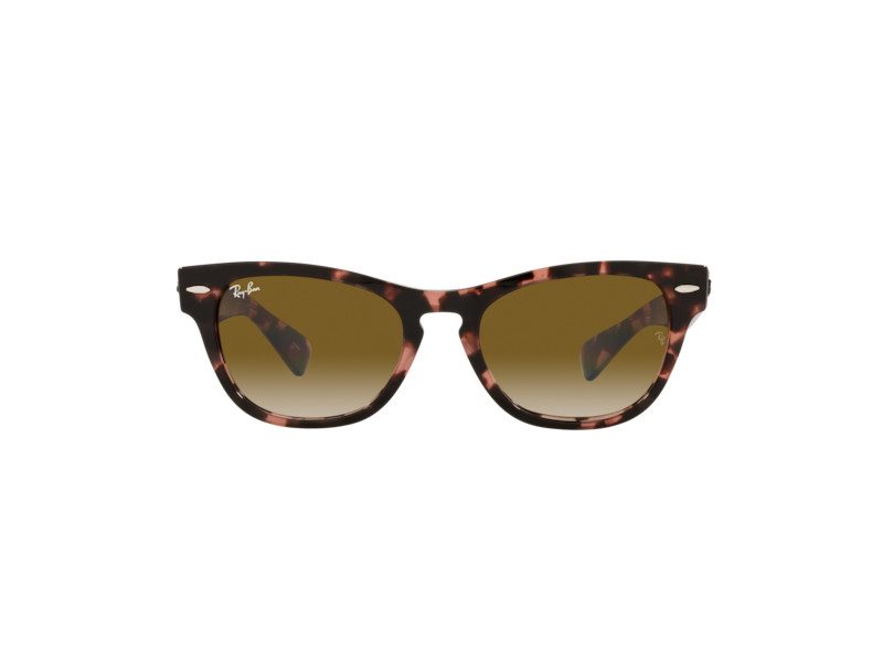 Ray-Ban Laramie RB 2201 1334/51 54 Occhiali da Sole