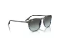 Ray-Ban RB 0RB2203 1391GK 55 Occhiali da Sole