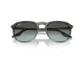 Ray-Ban RB 0RB2203 1391GK 55 Occhiali da Sole