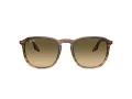 Ray-Ban RB 0RB2203 13920A 55 Occhiali da Sole