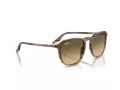 Ray-Ban RB 0RB2203 13920A 55 Occhiali da Sole