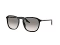 Ray-Ban RB 0RB2203 901/32 55 Occhiali da Sole
