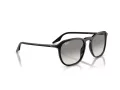Ray-Ban RB 0RB2203 901/32 55 Occhiali da Sole