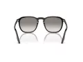 Ray-Ban RB 0RB2203 901/32 55 Occhiali da Sole