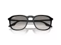 Ray-Ban RB 0RB2203 901/32 55 Occhiali da Sole