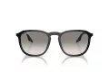 Ray-Ban RB 0RB2203 901/32 55 Occhiali da Sole